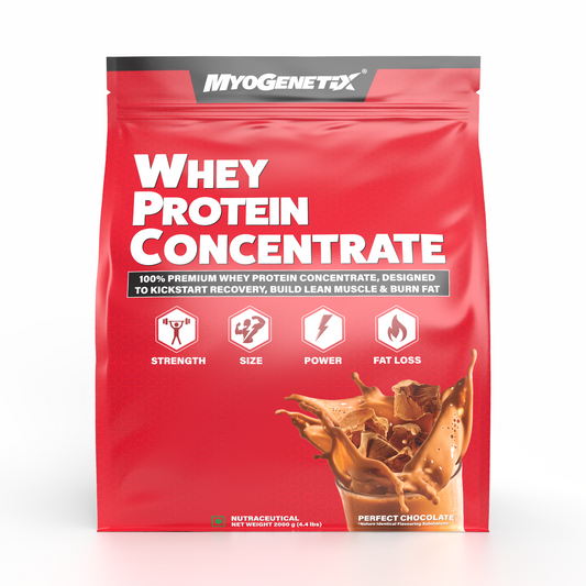 WHEY PROTEIN CONCENTRATE 4.4 lbs ~ Perfect Chocolate